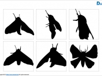 蛾のシルエット画像