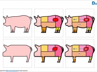 豚の部位のイラスト画像