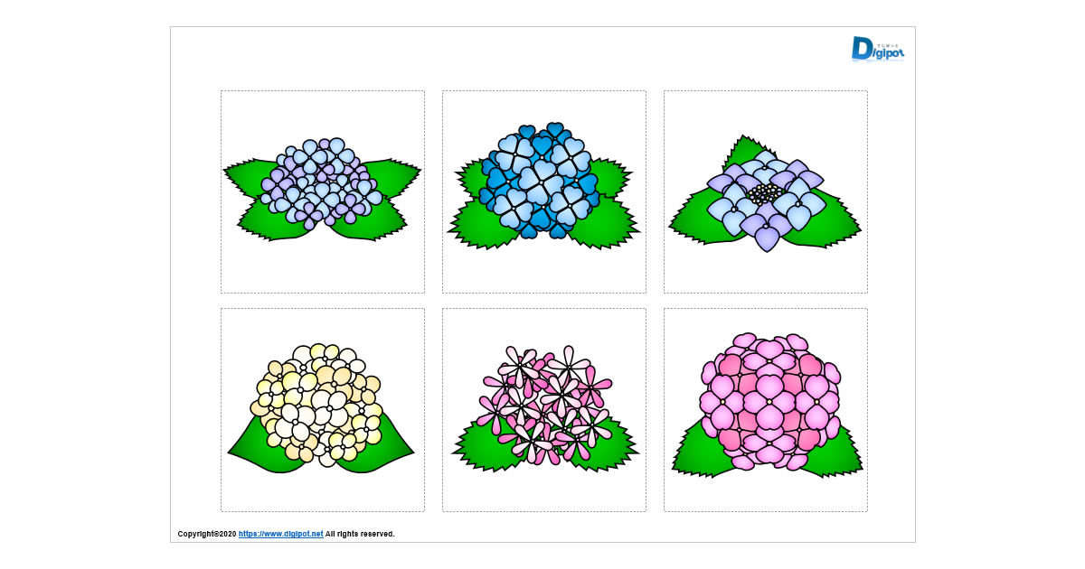 アジサイのイラスト画像
