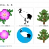 北海道の花、鳥、木のイラスト（パワーポイント／PNG形式画像）