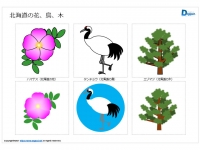 北海道の花、鳥、木のイラスト（パワーポイント／PNG形式画像）