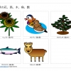 山形県の花、鳥、木、獣、魚のイラスト（パワーポイント／PNG形式画像）