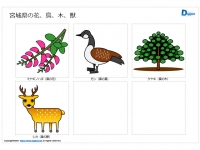 宮城県の花、鳥、木、獣のイラスト（パワーポイント／PNG形式画像）