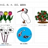 新潟県の花、鳥、木、草花、観賞魚のイラスト（パワーポイント／PNG形式画像）