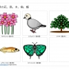 埼玉県の花、鳥、木、魚、蝶のイラスト（パワーポイント／PNG形式画像）