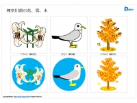 神奈川県の花、鳥、木のイラスト（パワーポイント／PNG形式画像）