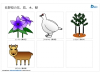 長野県の花、鳥、木、獣のイラスト（パワーポイント／PNG形式画像）