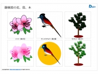静岡県の花、鳥、木のイラスト（パワーポイント／PNG形式画像）