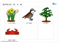 福井県の花、鳥、木、魚のイラスト（パワーポイント／PNG形式画像）