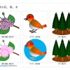 奈良県の花、鳥、木のイラスト（パワーポイント／PNG形式画像）