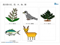 香川県の花、鳥、木、魚、獣のイラスト（パワーポイント／PNG形式画像）