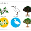徳島県の花、鳥、木のイラスト（パワーポイント／PNG形式画像）