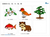 愛媛県の花、鳥、木、魚、獣のイラスト（パワーポイント／PNG形式画像）
