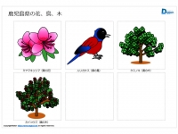鹿児島県の花、鳥、木のイラスト（パワーポイント／PNG形式画像）