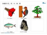 沖縄県の花、鳥、木、魚、蝶のイラスト（パワーポイント／PNG形式画像）