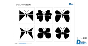 チョウの外観図形画像