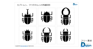 カブトムシ、クワガタムシの外観図形画像